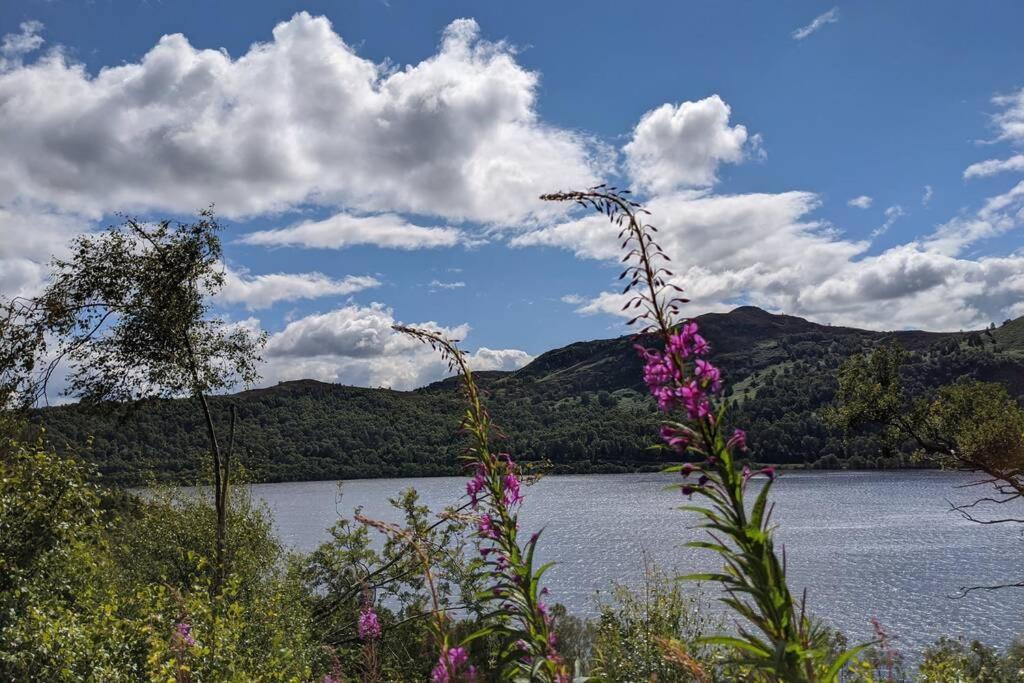 Rowan Cottage, Crannachcottages Garve Kültér fotó