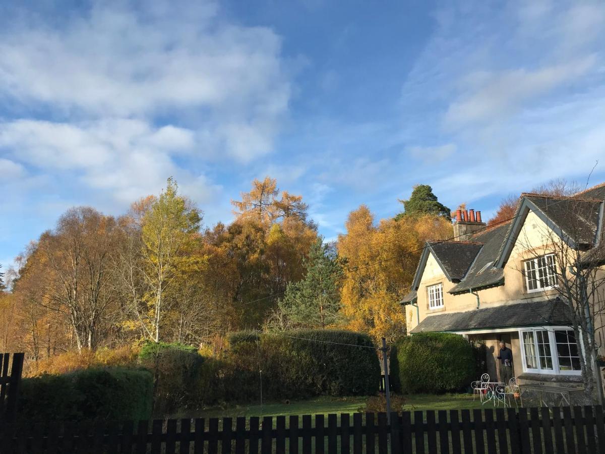 Rowan Cottage, Crannachcottages Garve Kültér fotó
