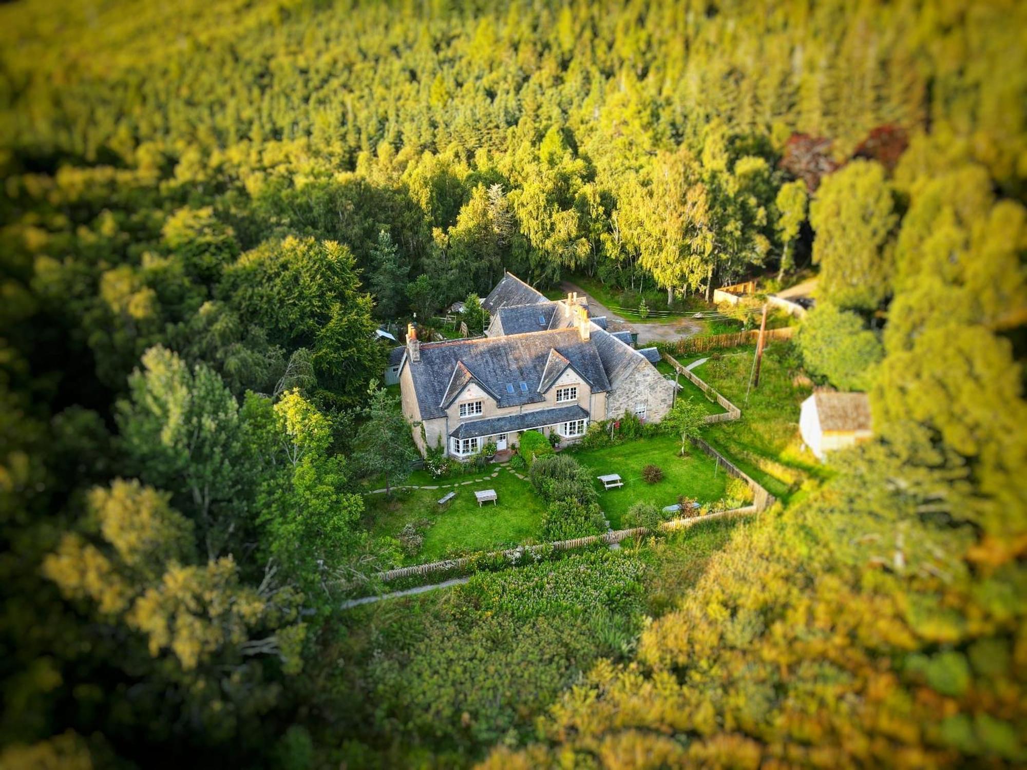 Rowan Cottage, Crannachcottages Garve Kültér fotó